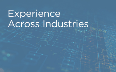 Comprehensive Industry Experience